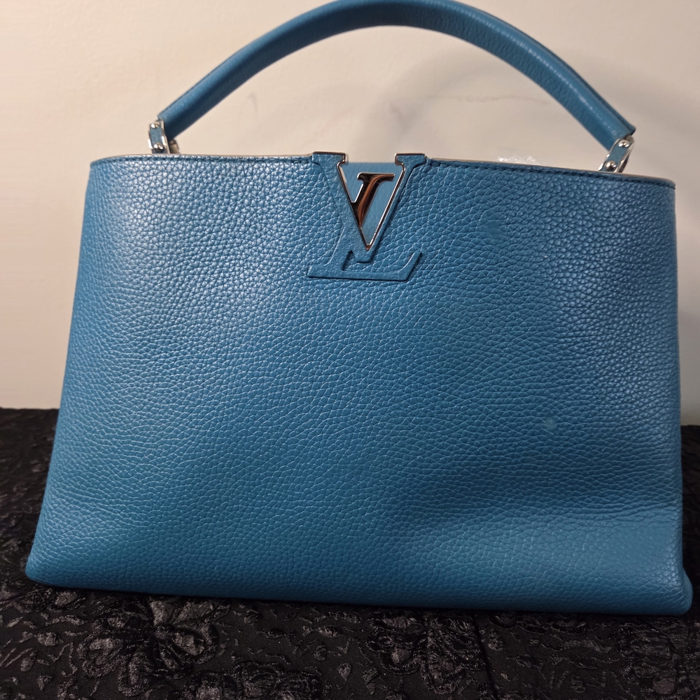 Louis Vuitton Blue Cappucine Women's Bag